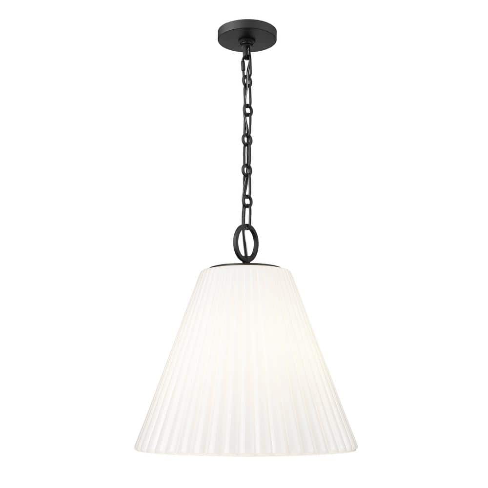 Matte Black 18" Modern Glass Pendant Light