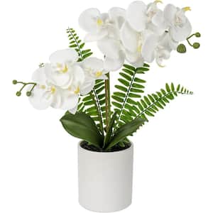 16 " White Artificial Orchids Flowers in Ceramic Vase