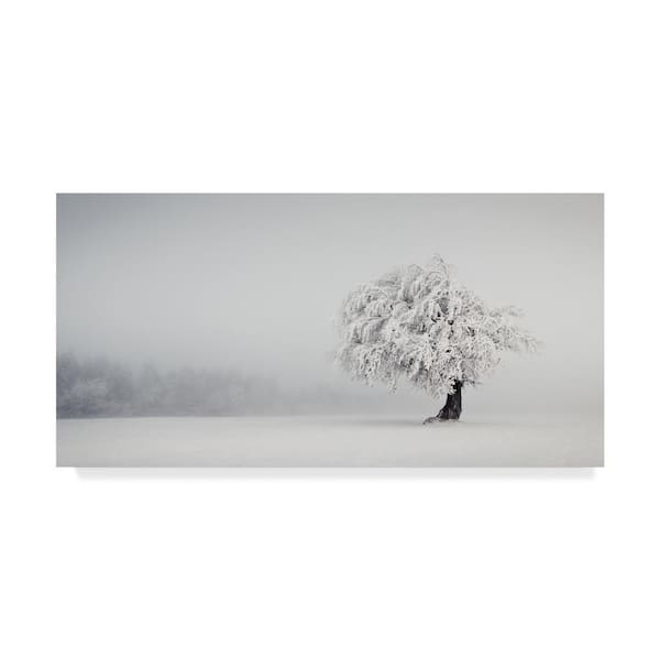 Trademark Fine Art Pure Silence by andreas Wonisch Floater Frame Nature Wall Art 16 in. x 32 in.