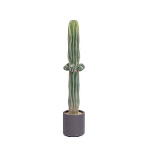 54 in. Tall Artificial Cactus in a Gray Planter