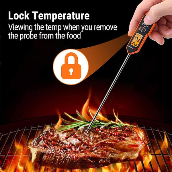 Z GRILLS Digital Probe Bluetooth Compatibility Meat Thermometer in the Meat  Thermometers department at
