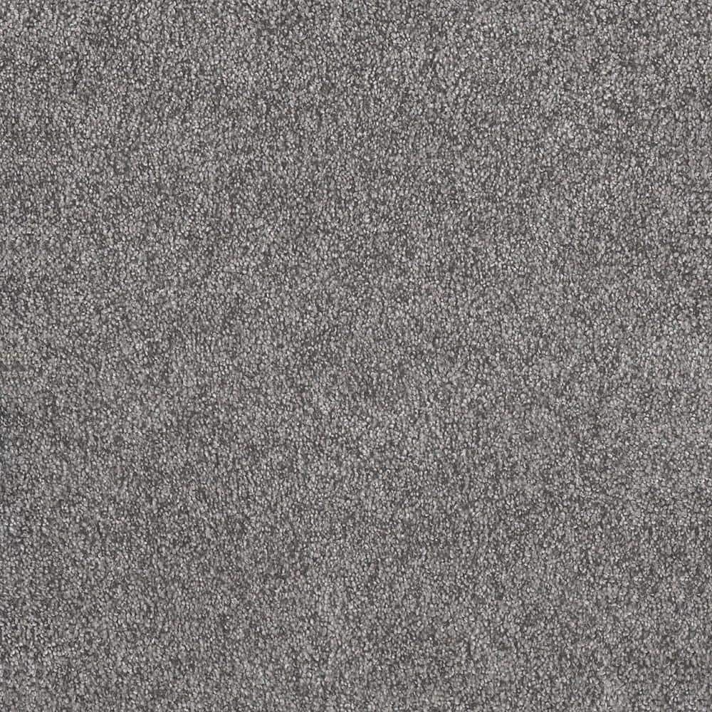 8 in. x 8 in. Texture Carpet Sample - Topaz I - Color Deerhaven price history on PriceWatchPro