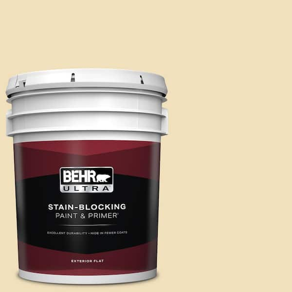 BEHR ULTRA 5 gal. #380E-3 Satin Souffle Flat Exterior Paint & Primer