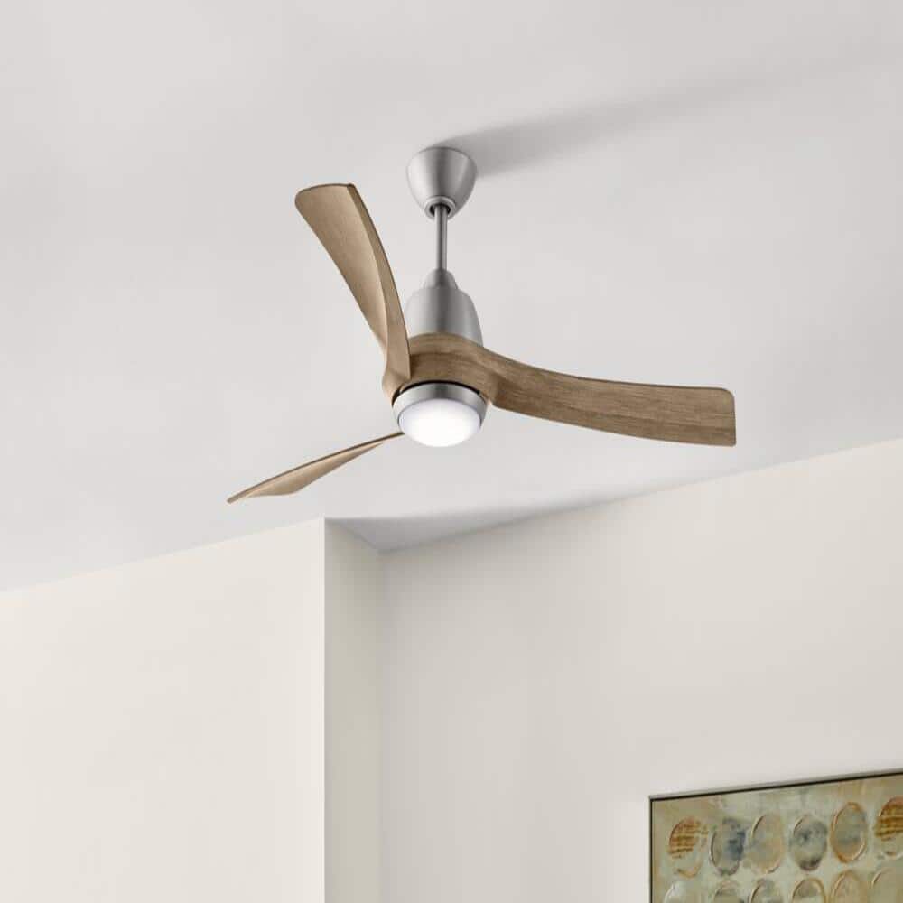 hampton-bay-ceiling-fans-with-