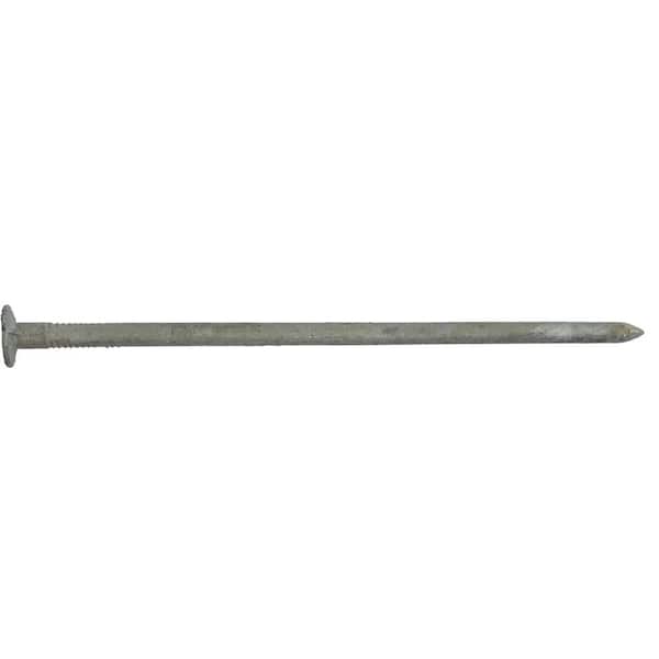 HUTTIG-GRIP 8 in. Hot Galvanized Spike Nail 50 lbs. Box