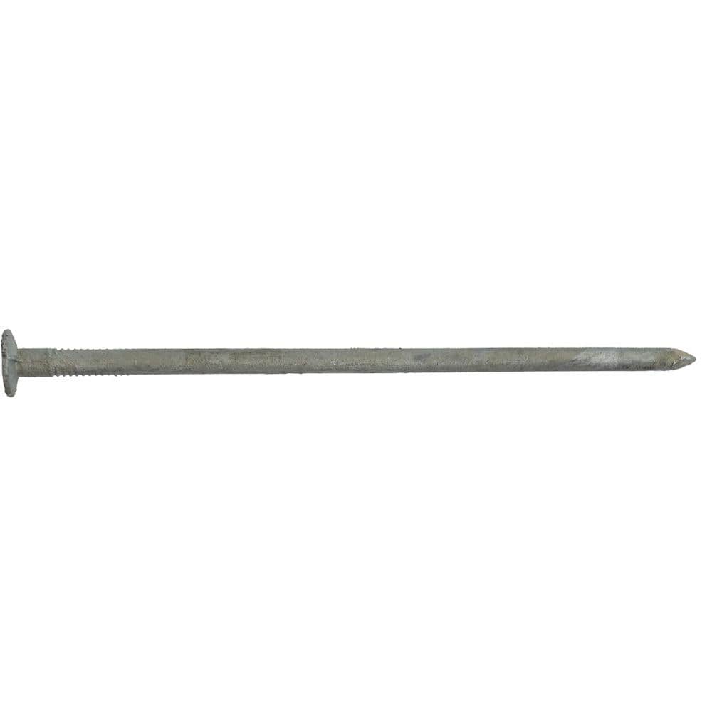 HUTTIGGRIP 8 in. Hot Galvanized Spike Nail EA HGN8HGSPKEA The Home Depot