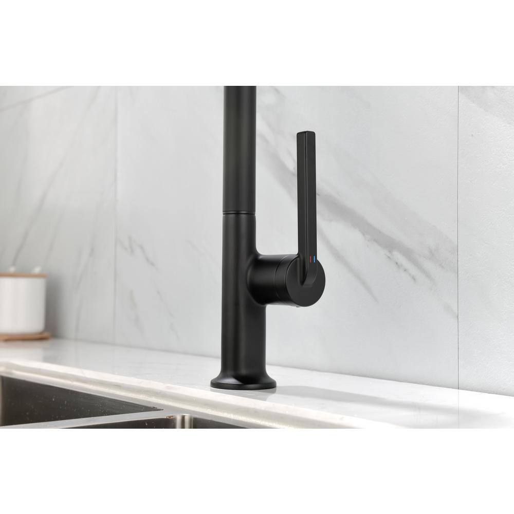 Matte Black Single Handle High-Arc Kitchen Faucet with Pull-out Spray