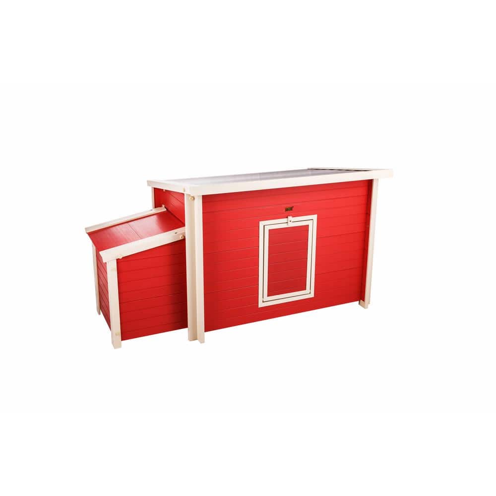 Red Eco-Friendly Composite Chicken Barn with Nesting Box