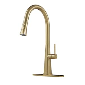 Kitchen Sink Faucet Pull Out Sprayer Mixer Tap Kitchen Faucet with Deckplate in Brushed Gold