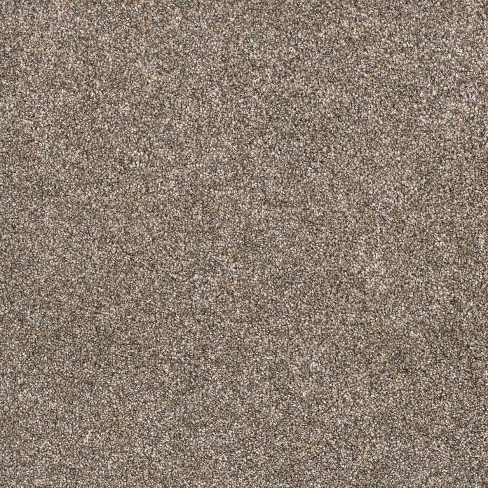 Lifeproof 8 in. x 8 in. Texture Carpet Sample - Hazelton III - Color ...