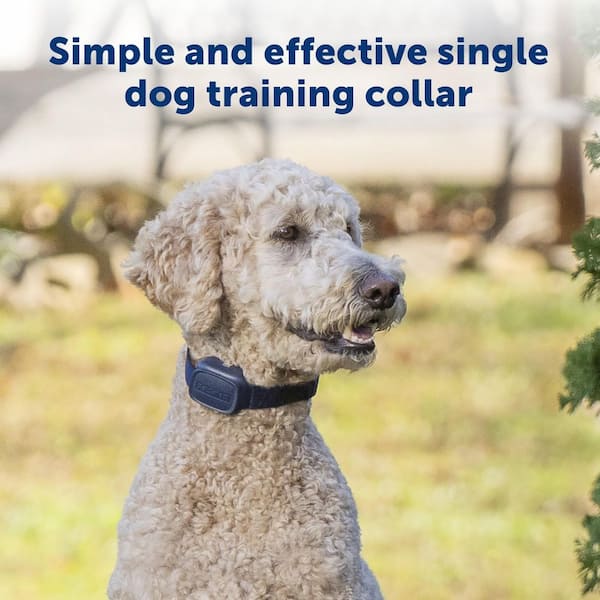 trojan tingly warmth lubricant Dog Training E-Collar with Remote | No Shock Humane | Rechargeable | Sound & Vibration Only | Waterproof main image 1