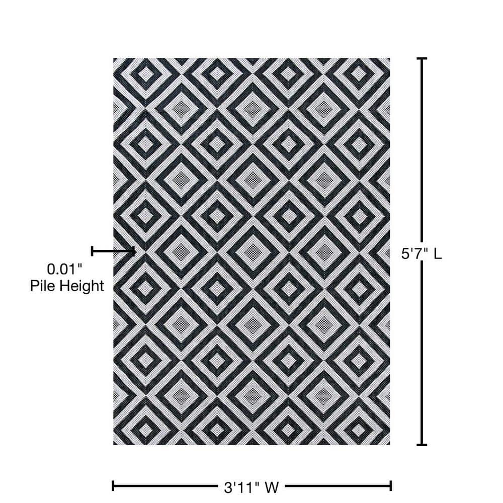 Afuera Flat-Woven Black Synthetic 3'11" x 5'7" Indoor/Outdoor Rug