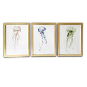 Jellyfish Framed Coastal Animal Art Print 20 in. x 16 in. Each (Set of 3)