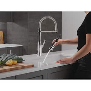 Ermelo Pro Single Handle Pull Down Sprayer Kitchen Faucet with Spring Spout in Chrome
