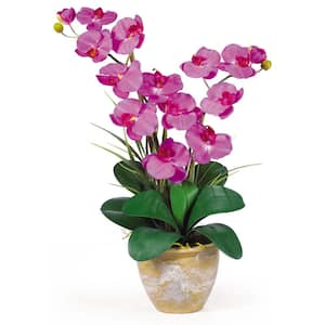25 in. Artificial Double Phalaenopsis Silk Orchid Flower Arrangement in Orchid