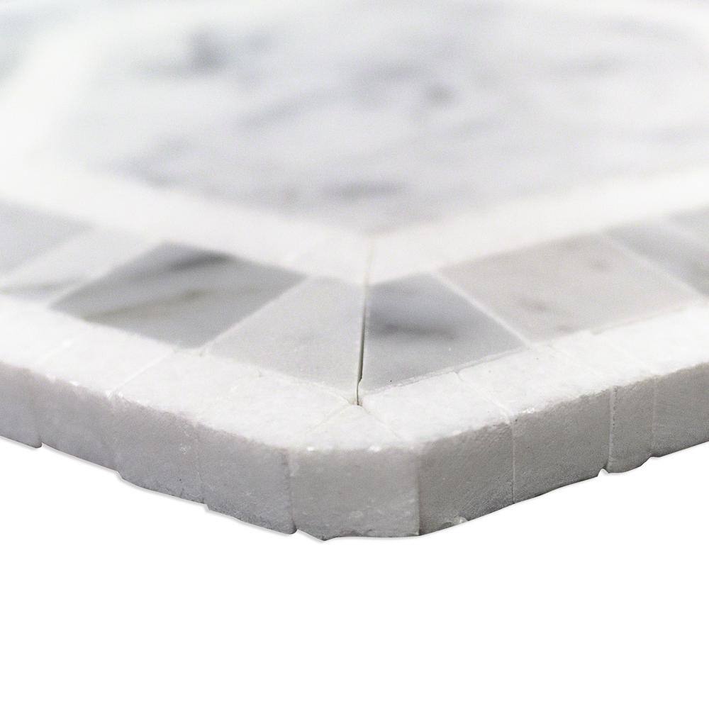Carrara White and Black Marble Hexagon Mosaic Tile