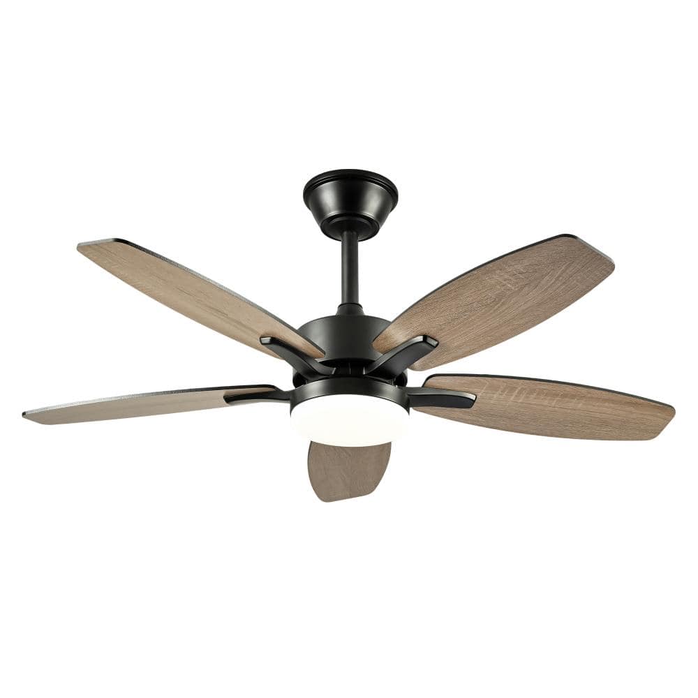42 in.Black Quiet DC Reversible Ceiling Fan Remote Control With 5 Plywood Blades LED Light For Patio Office Home price history on PriceWatchPro
