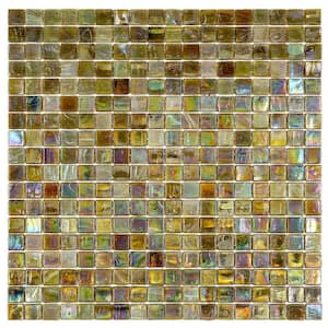 Skosh 4 x 5 in. Glossy Tortilla Brown Glass Mosaic Uniform square Wall and Floor Sample Tile