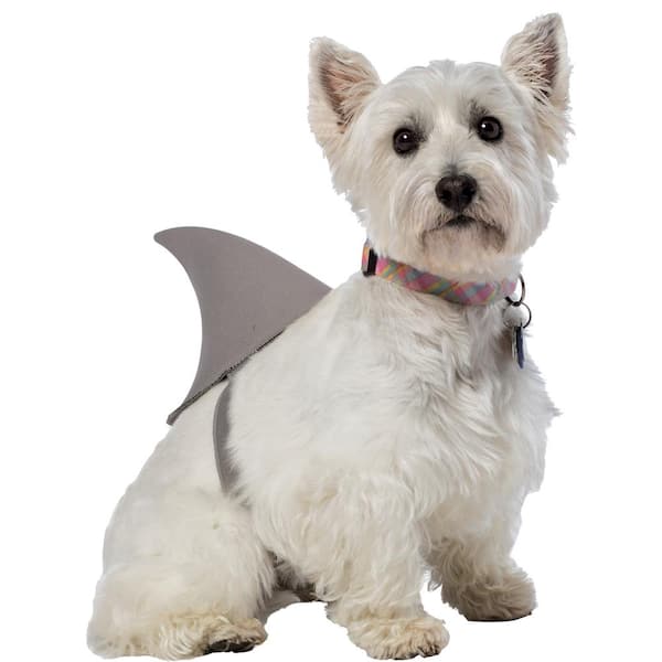 Shark Fin Dog Costume - Extra Large