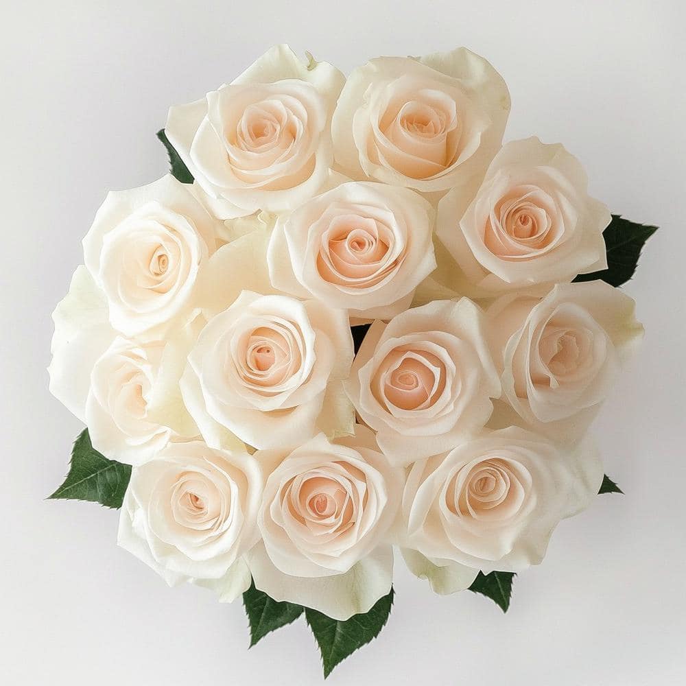 Globalrose 12 Stems - Fresh Cut White Roses (1-Dozen