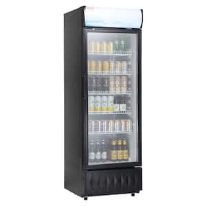Commercial Refrigerator 12.2 Cu.Ft Beverage Refrigerator Cooler Glass Door Display Refrigerator Upright Fridge