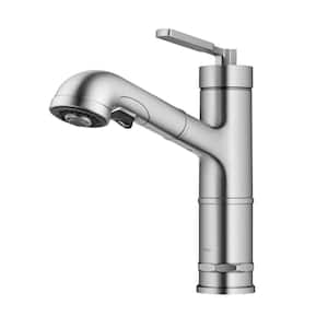 Allyn Pull-Out Single Handle Kitchen Faucet in Spot-Free Stainless Steel