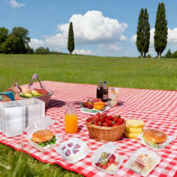 Disposable Plastic Hinged Take Out Container with Lids for Dessert, Hamburger, Cookies, Salads, Clear (100-Pack)