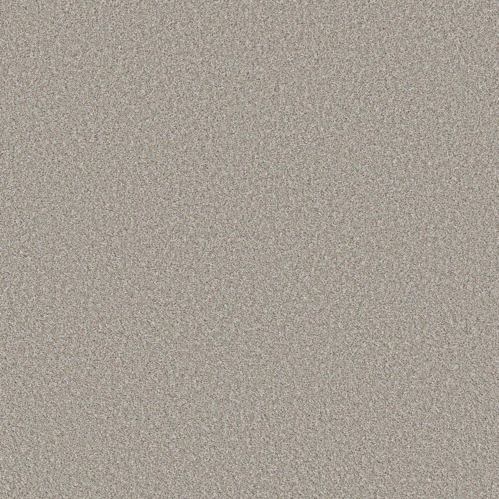 8 in. x 8 in. Texture Carpet Sample - Cuddle Cakes I - Color Shaved Ice price history on PriceWatchPro