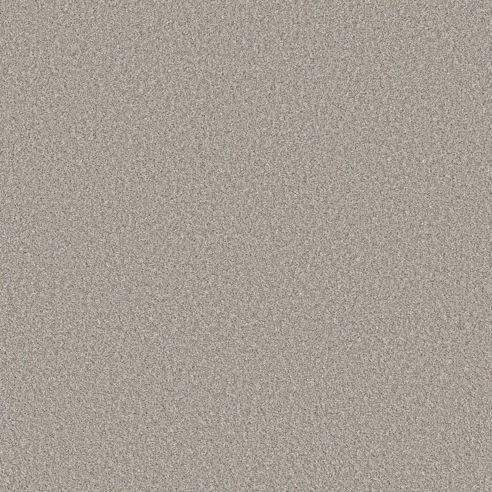 8 in. x 8 in. Texture Carpet Sample - Cuddle Cakes II - Color Shaved Ice price history on PriceWatchPro