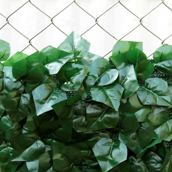 ivy chain link fence