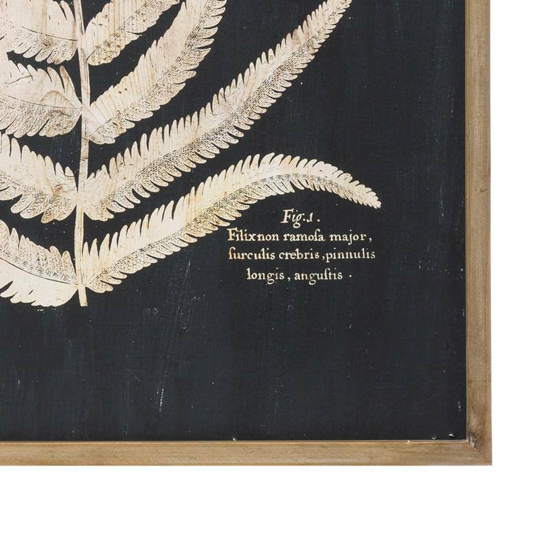 Set of 2 Black and White Fern Leaf Framed Canvas Prints