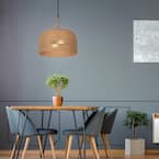 Hampton Bay Summerpoint 120-Watt 2-Light Black Shaded Pendant