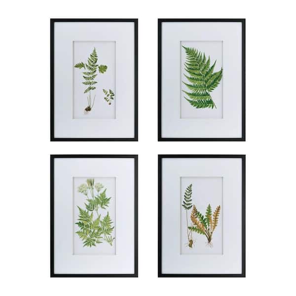 Framed 20 in. x 28 in. Set of 4 Botanical Black And White Fern Wall Art, Wall Decor for Living Room Dining Room