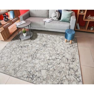 Gray 3 ft. x 5 ft. Livigno 1240 Transitional Marbled Area Rug