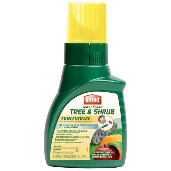 Ortho 16 oz. Tree and Shrub Concentrate Insect Killer