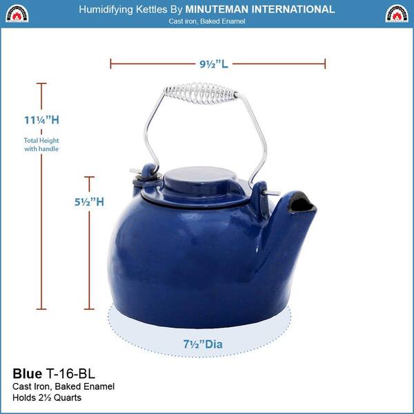 Home & Living Kitchen & Dining Vintage Cast Iron Kettle with Chrome