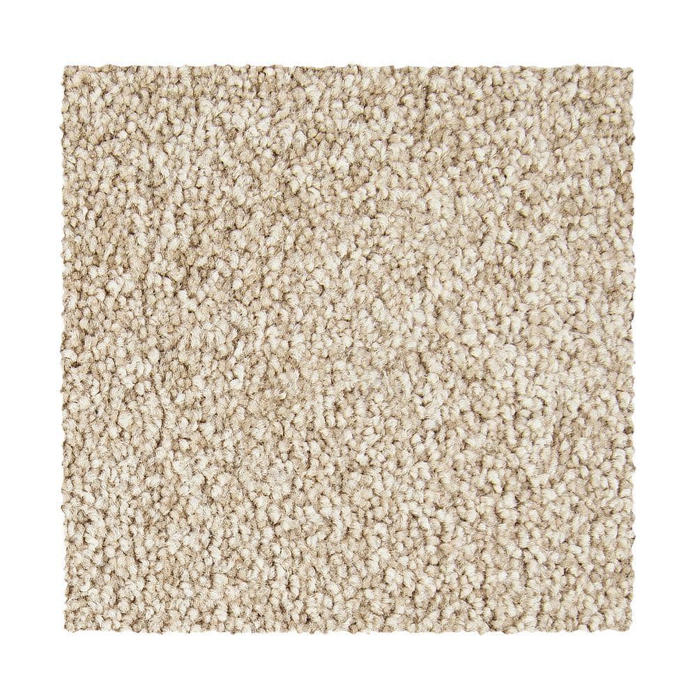 8 in. x 8 in. Texture Carpet Sample - Hainsridge -Color Pie Crust price history on PriceWatchPro