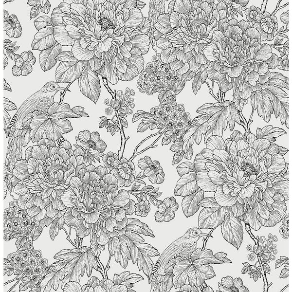 A-Street Prints Birds of Paraside Breeze Black Floral Black Wallpaper Sample