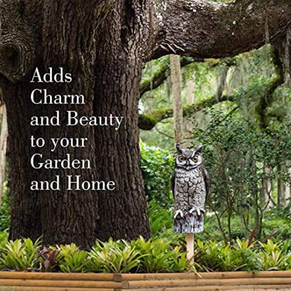 Wholesale Customized Horned Owl Bird Deterrents With Yellow Claws Outdoor Garden