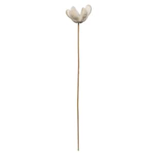 20 in. Bleached Non- Artificial Preserved Bullet Flower, 50-Stems per Pack