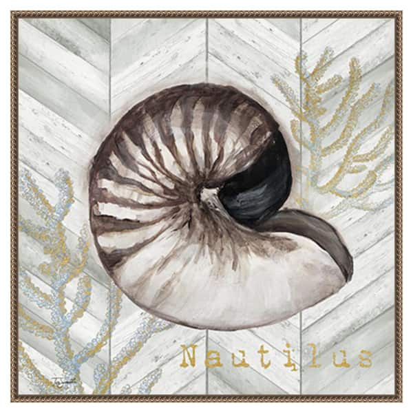 Amanti Art Gray Gold Chevron Nautilus Shell by Tre Sorelle Studios 30 in. W x 30 in. H Canvas Float Frame in Bronze