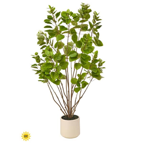 Regency Trees Regency International 4' UV Potted Smoke Tree MTF26874-GRN - The Home Depot
