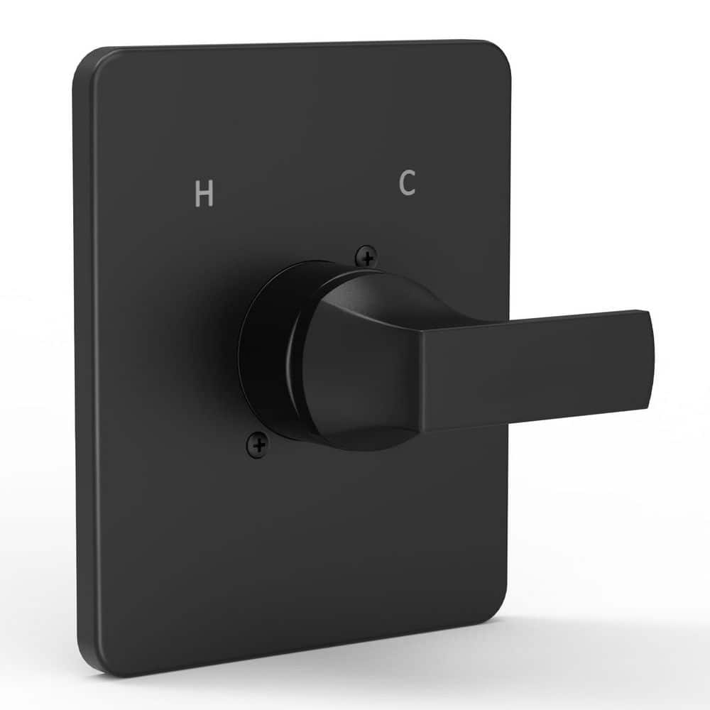Matte Black Stainless Steel Shower Trim Kit for 14 Series, Compatible with RP46074 and R10000 Valves price history on PriceWatchPro