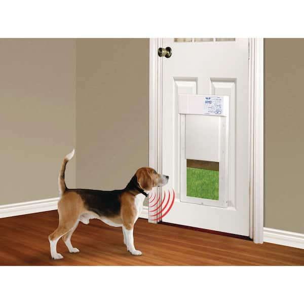 extra large electronic dog door