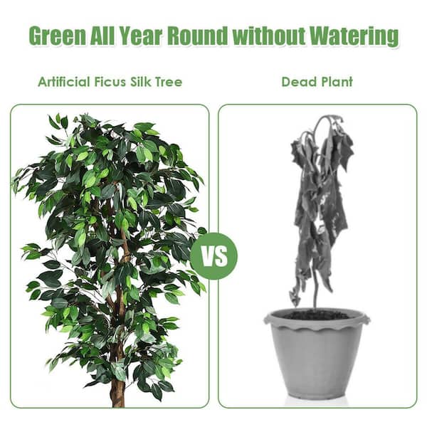 Artificial on sale Ficus Silk Tree, 4-Feet, Green - New