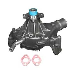ACDelco 252-499 Professional Water Pump Kit 