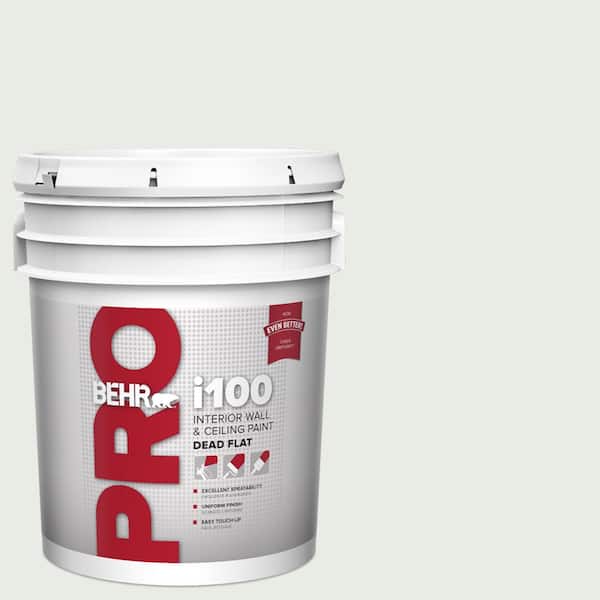 5 gal. #PPU25-12 Minimalistic Dead Flat Interior Paint