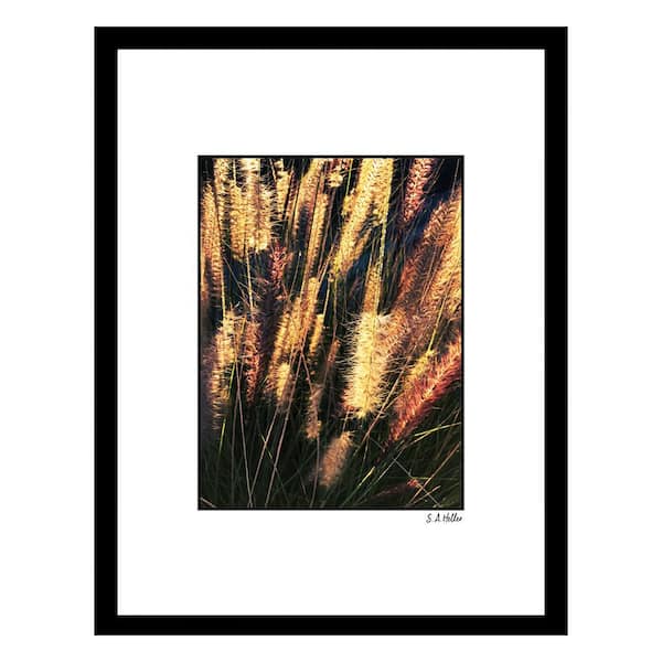 VENICE BEACH Collections BRUSH WEEDS by Steven A.Heller 1-Piece Framed Graphic Print Abstract Poster Art Print 18 in. x 14 in.