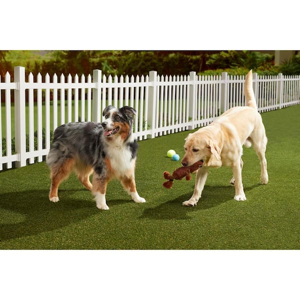 20 Pet Turf FAQs & Answers About Artificial Turf for Dogs