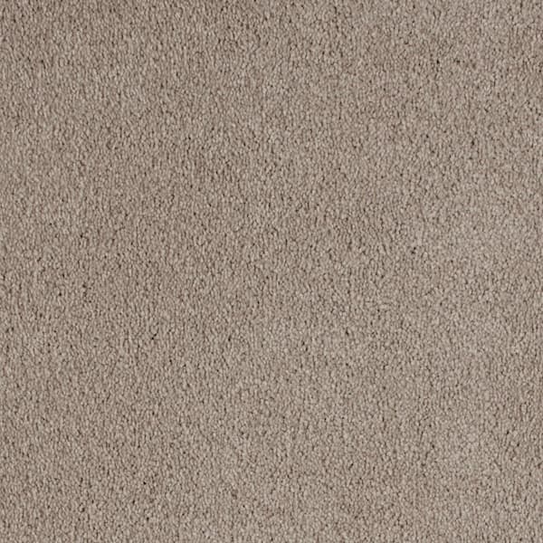 Lifeproof with Petproof Technology 8 in. x 8 in. Texture Carpet Sample - Still In Love II -Color Romance